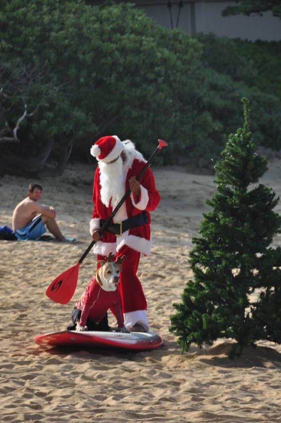 Papai Noel e seu cão se preparando para entrar no mar, na costa norte de Oahu, no Havaí